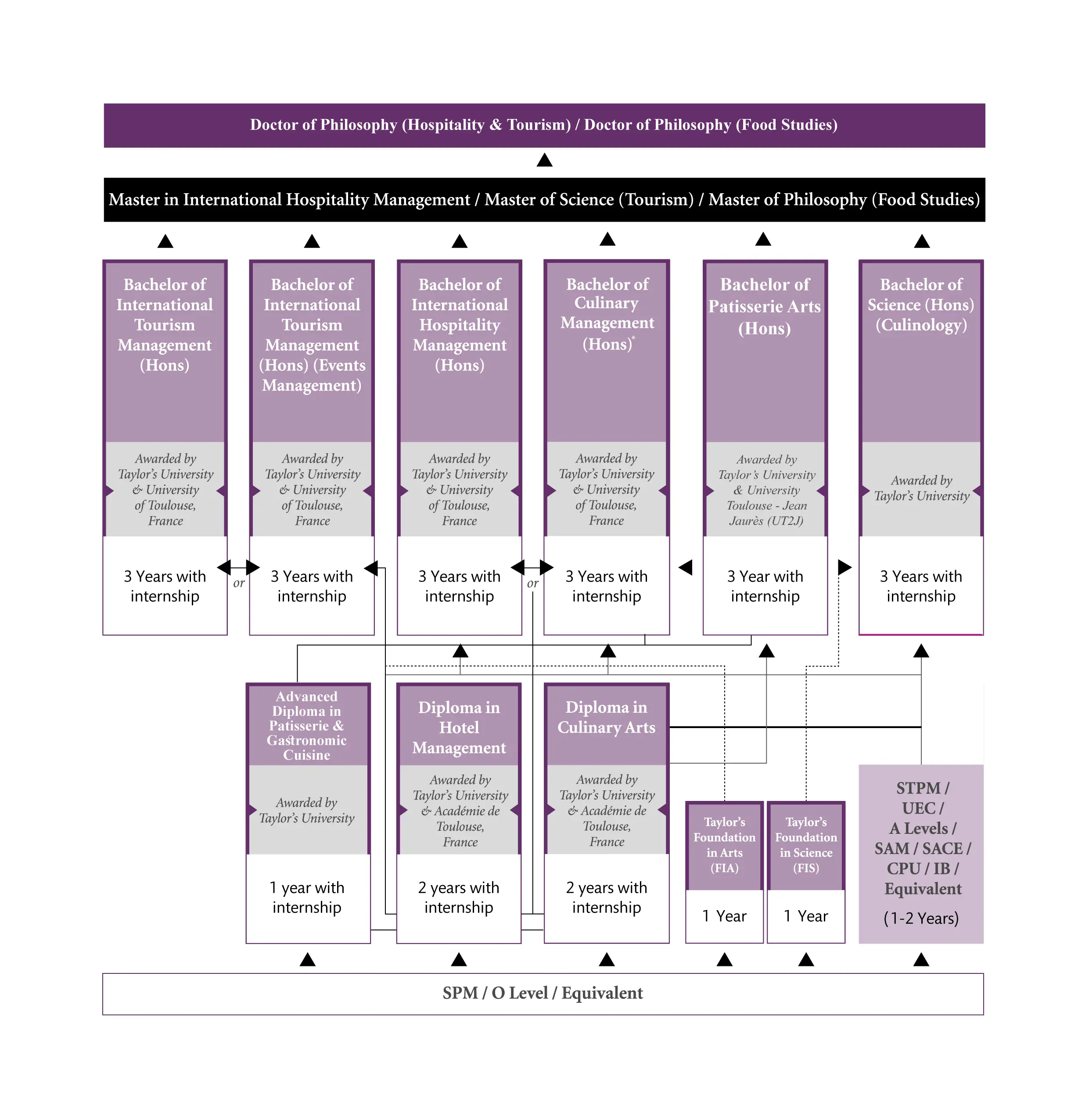 A chart showing the education pathway for biosciences Degree